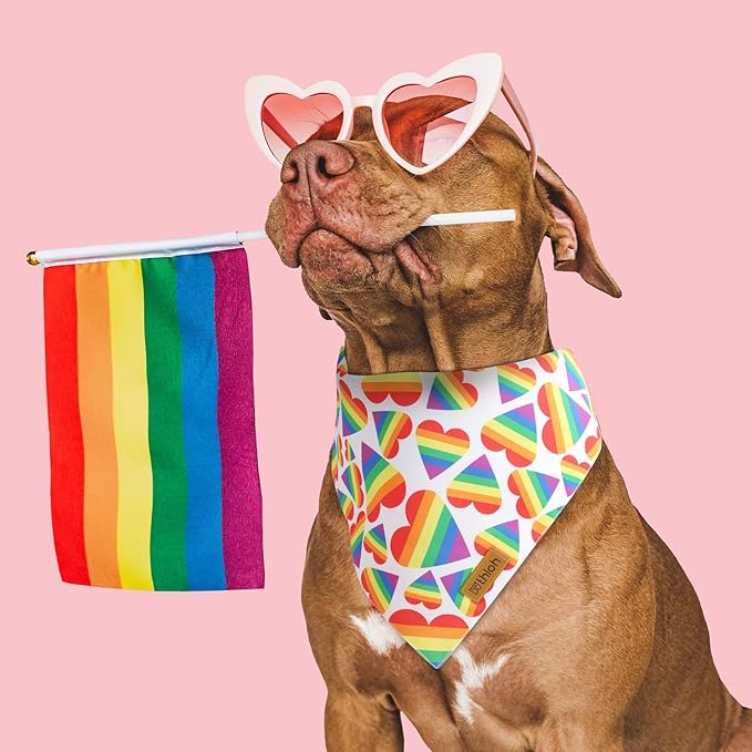 THLOH Pride Dog Bandanas - 2 Pack Reversible LGBT LGBT+ Love is Love Pet Scarf for Boy and Girl | Premium Durable Fabric | Rainbow Bandana for Small Medium Large and Extra Large Dogs (X-Large)