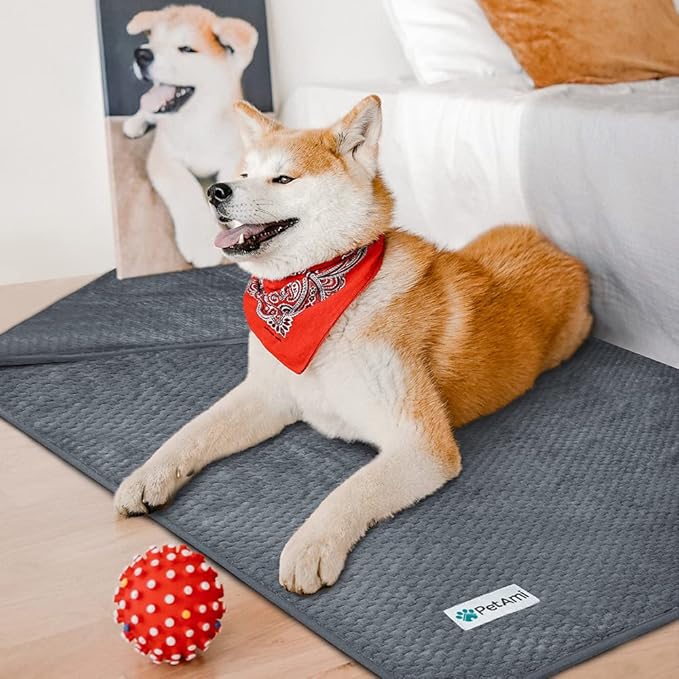PetAmi Waterproof Dog Blanket, Leakproof Puppy Blanket for Small Medium Dogs, Furniture Sofa Couch Cover Protector, Fleece Pet Throw for Indoor Cat Kitten, Reversible Washable Soft Plush, 29x40 Gray