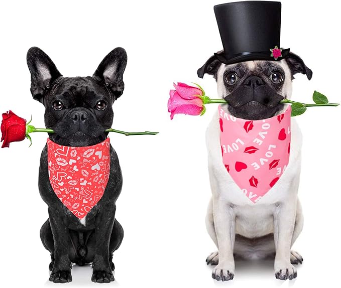 ADOGGYGO Valentine Dog Bandana, Multiple Sizes Offered, Reversible Triangle Dog Scarf Pet Bandana for Small Dogs (Small)