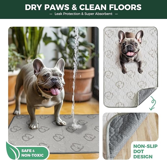 FXW Washable Pee Pads for Dogs, Leak-Proof & Non-Slip, Specifically Designed for Potty Training, 35" Square, Khaki, 1 Pack