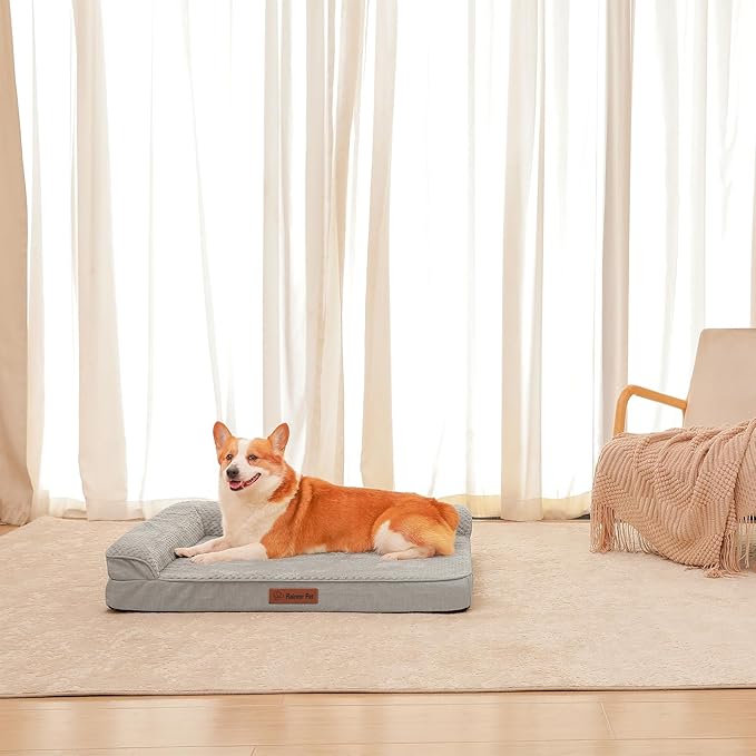 Rainmr Orthopedic Dog Beds for Large Dogs, Memory Foam Dog Beds Large Sized Dogs, Washable Removable Cover, Nonskid Bottom, Waterproof, for Indoor, Outdoor, Crate ＆ Car Use, 36x27x6 Inches, Light Grey