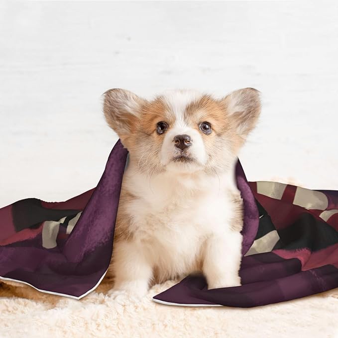 ENSFTF Pet Blanket,Warming Ultra Soft Warming Mat for Indoor Pet Beds & Furniture Reversible Blanket Machine Washable 27.6 * 19.7Inch,Monster Pattern