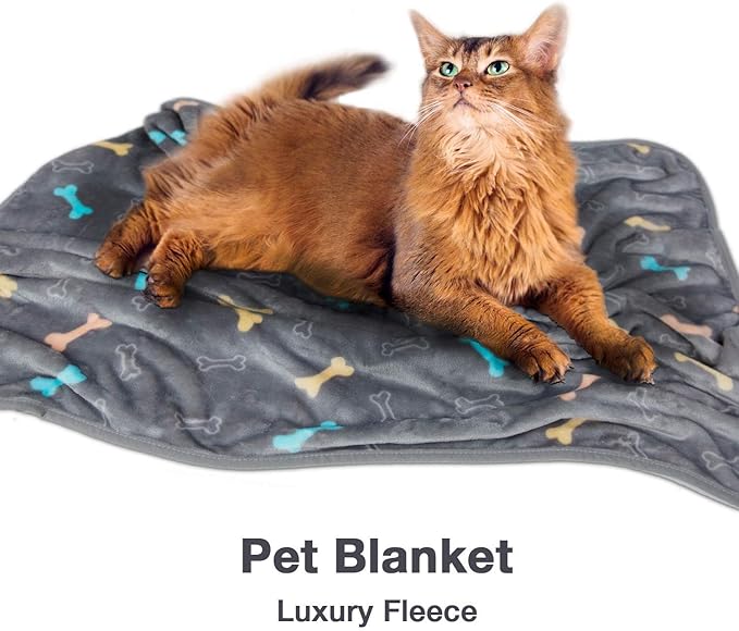 Allisandro Luxurious Dog Blanket, 350 GSM Super Fuzzy Microplush Fleece Pet Blankets for Small Medium Large Dogs and Cats, Grey Bone, 80 x 60 Inches
