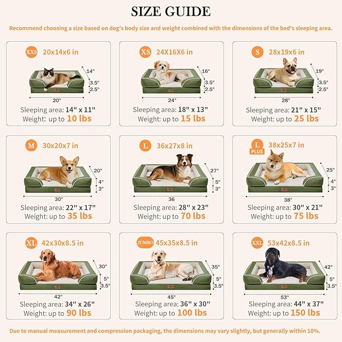 Comfort Expression Orthopedic Dog Bed for Small Dogs 24x16 Inch, Waterproof Supportive Egg Crate Foam Small Pet Bed with Removable Bolster, Dog Couch with Washable Cover & Non-Slip Bottom, Light Green