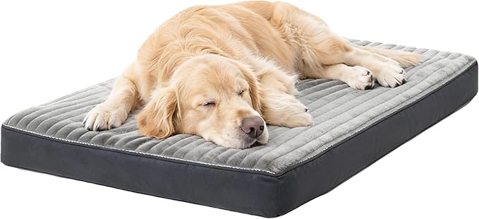 Dog Bed Large Sized Dogs, Orthopedic Flannel Pet Bed with Removable Washable Cover, Waterproof Indestructible Big Dog Bed with Anti-Slip Bottom, Egg Memory Foam Pad, 36.0"x27.0"x3.5", Grey