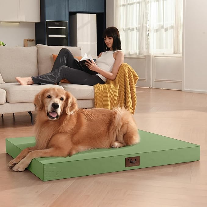 Tail Stories Outdoor Orthopedic Dog Bed for Extra Large Dogs, XL Waterproof Flat Pet Bed 44x32 Inch, Egg Crate Foam with Removable Washable Oxford Cooling Cover, Light Green