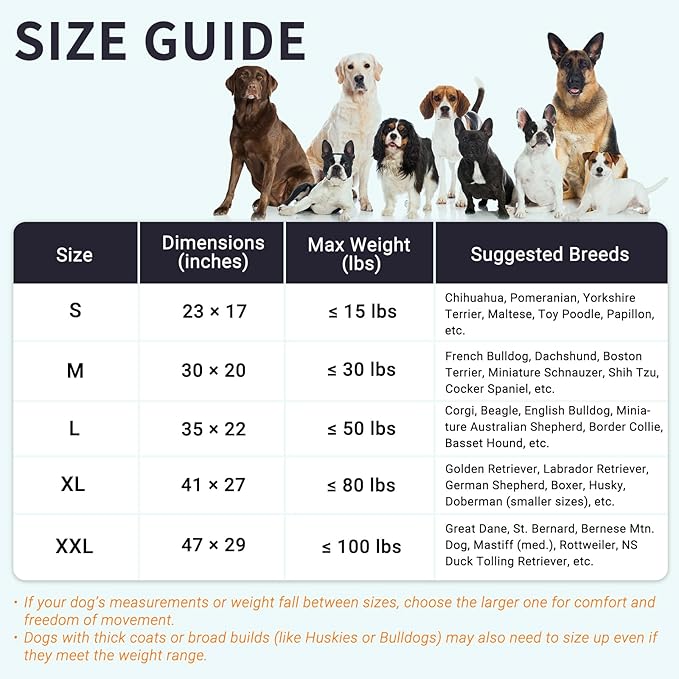 Dog Bed for Small and Medium Size Dogs - Orthopedic Egg Crate Foam Pet Bed with Waterproof & Machine Washable & Non-Slip Bottom, Ideal for Crate and Indoor Use, 30x20 Inch, up to 30 lbs, Dark Grey