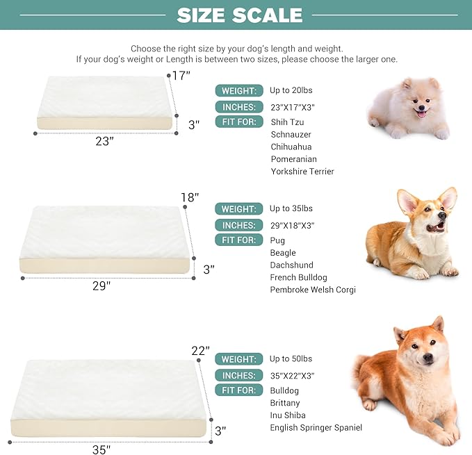 Vonabem Waterproof Dog Beds Medium Sized Dog, Washable Crate Pad 30 inch, Orthopedic Foam Pet Bed with Removable Cover Reversible, Anti-Slip Puppy Kennel Pad, 29"x18", Beige