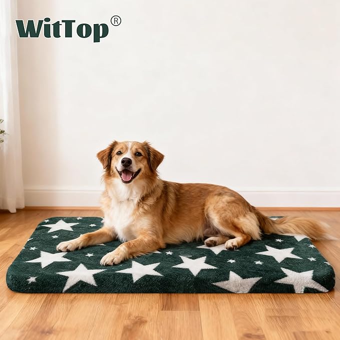Wittop Washable Dog Bed Plush Orthopedic Outdoor Crate Mat with Non-Slip Bottom,Luxe Soft Kennel Pad for Pets, Cozy Cage Cushion & Pet Sleeping Mattress Large Sized,Medium,Small Dogs,36x24 inch,Green