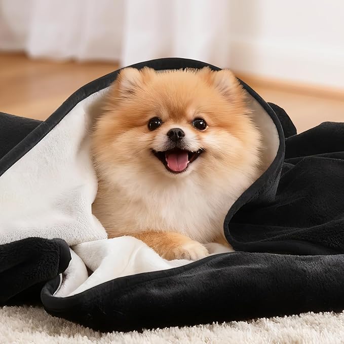 LOOBANI Waterproof Dog Blanket for Couch: Reversible Flannel Bed Blanket for Medium Large Dogs Liquid Proof, Soft Throw Blanket Couch Cover Protector for Sofa, Crate, Travel, Picnic, 50" x 60", Black