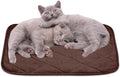 NWK Fluffy Self Warming Cat Mat, Cat Blanket, Thermal Dog Mat, Washable, Non-Slip Bottom for Sofa & Crate & Kennel & Car Seat (Coffee Brown, Medium (28'' X 19'' X 0.4''))