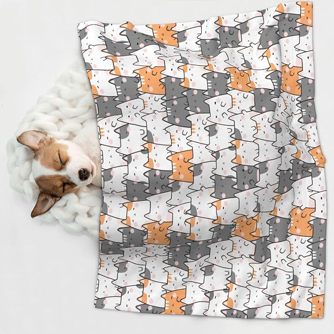 ENSFTF Pet Blanket,Warming Ultra Soft Warming Mat for Indoor Pet Beds & Furniture Reversible Blanket Machine Washable 27.6 * 19.7Inch,Cute Animals Pattern