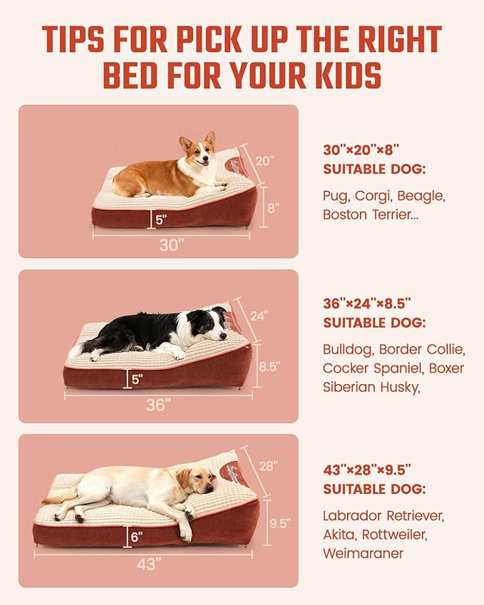 Pawccoli Orthopedic Dog Bed,Cat Beds for Indoor Cats - Comfy Flat Puppy Beds with Removable Washable Cover, Small Dog Bed, Pet Mat Suitable for Pet Up to 30 lbs(30''×20''×5'')