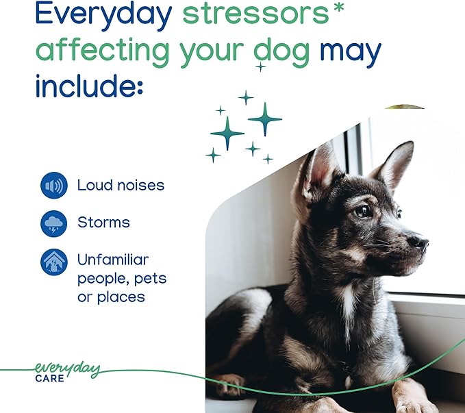 VIRBAC ZENIDOG Gel Diffuser - Dog Calming Pheromone Diffuser for Stress Relief No Electricity Required and Lasts up to 2 Months