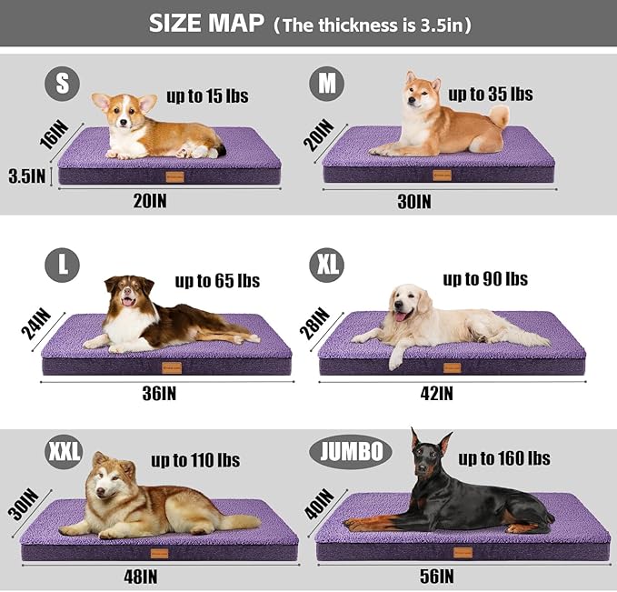 Patas Lague Orthopedic XL Dog Bed Large Sized Dog 48''X30'', Soft Waterproof Egg Crate Foam Large Pet Crate Beds Mat with Removable Washable Cover and Non-Slip Bottom, Purple