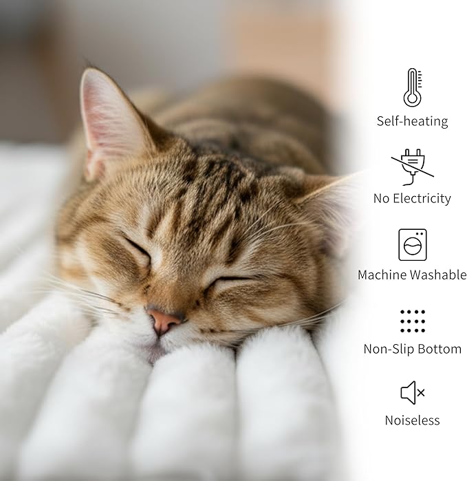 NWK Pack of 4 Fluffy Self Warming Cat Mat, Cat Blanket, Thermal Dog Mat, Washable, Non-Slip Bottom for Sofa & Crate & Kennel & Car Seat (Creamy White, Small (19'' X 15'' X 0.7''))