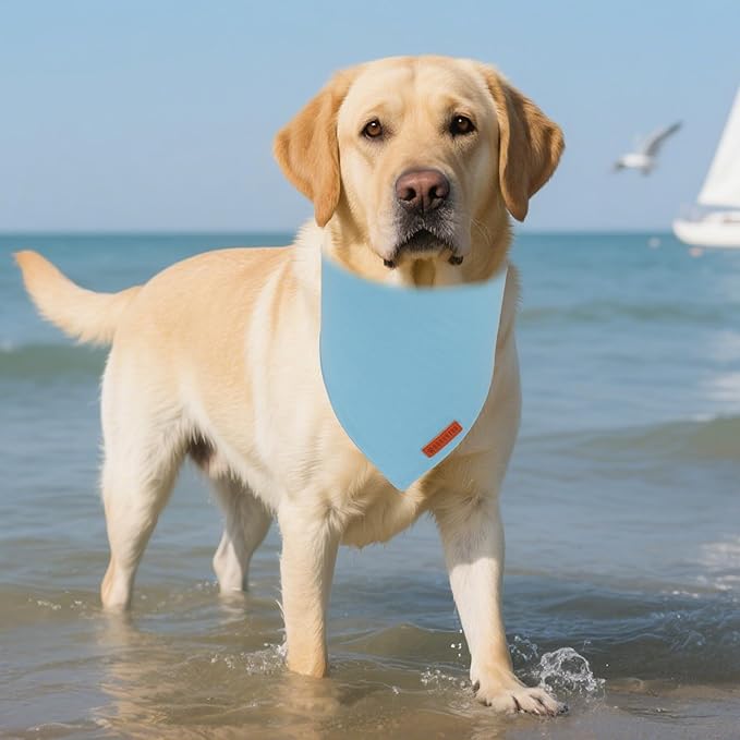 ADOGGYGO 2 Pack Blue Dog Bandanas, Soft Cotton Solid Color Pet Triangle Scarf, Adjustable DIY Blue Boy Birthday Bandanas for Extra Large Dogs (X-Large)