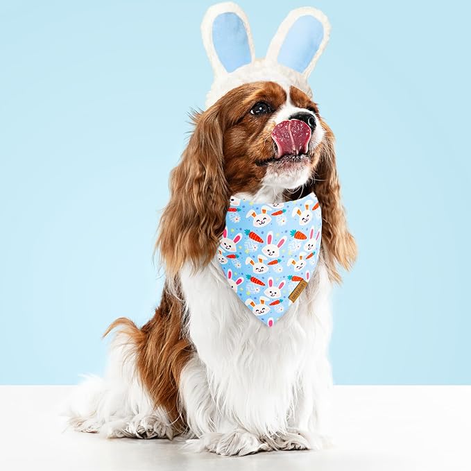 THLOH Easter Dog Bandanas 2 Pack - Reversible Pet Scarf for Boy and Girl, Spring Pet Accessory, Holiday Bandana for Medium and Large Dogs (Large)