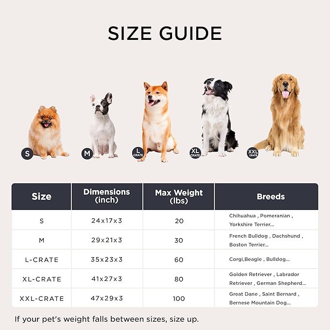 Bedsure Washable XXL Dog Bed for Crate, Giant Comfort Fluffy Plush Pet Pillow Bed Kennel Pad with Non-Slip Bottom, Machine Washable Pet Sleeping Mat for Jumbo, 47"x29", Dark Gray