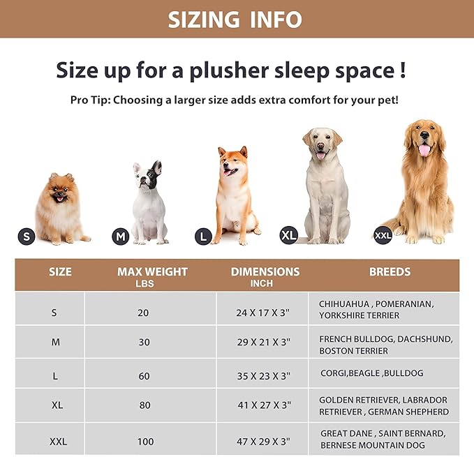 ZAKAPAWS Dog Bed for Medium Dog - Orthopedic Pet Beds with Memory Foam, Waterproof Removable Washable Cover with Non-Slip Bottom, Khaki, 30" L x 20" W x 3" H