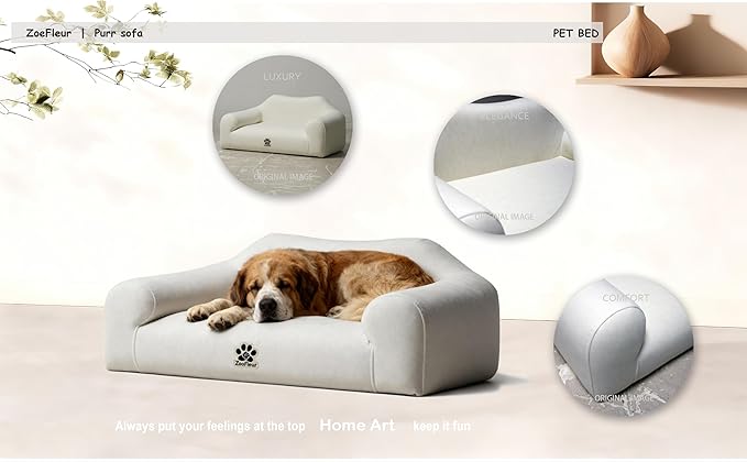 ZoeFleur Pet Sofa Bed, Orthopedic Washable Dog Bed for Small Medium Dogs and Cats, Modern Plush Pet Furniture with Removable Cover(White)