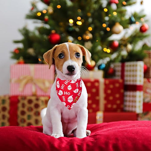 ADOGGYGO Christmas Dog Bandanas 2 Pack, Santa Tree Puppy Christmas Scarf Bib, Premium Durable Fabric, Pet Holiday Bandanas for Small Dogs (Small)