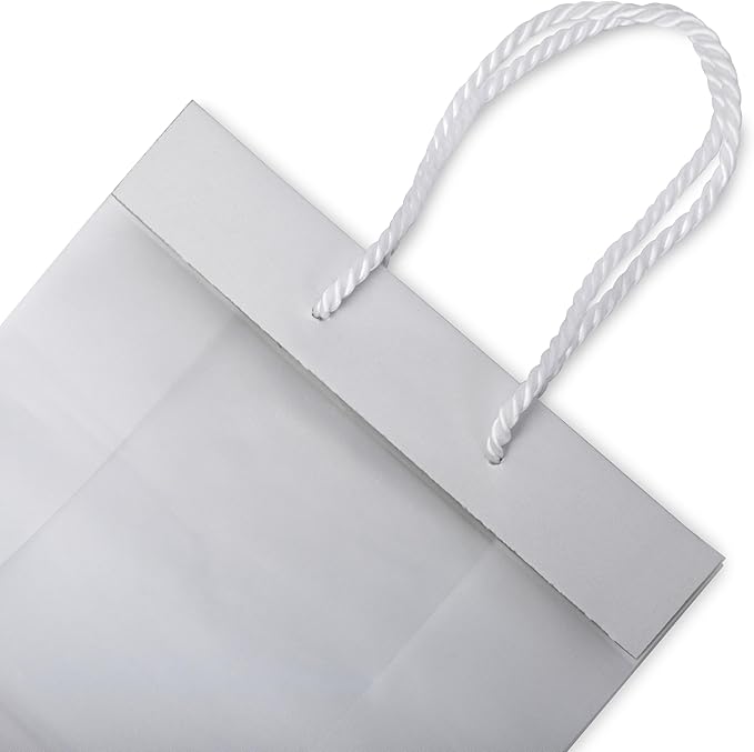 Prime Line Packaging Frosted White Gift Bags, Reusable Shopping Bags with Rope Handles for Retail, Merchandise, Small Business, Boutiques, Bulk, 8x4x10, 100 Pack
