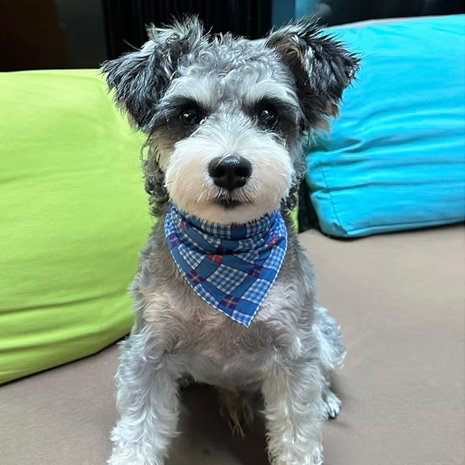 Pemilosci Double Layers Two Tones Dog Cotton Square Bandana Bibs Scarf Kerchief for Small Medium Dogs Boy or Girl - DCB23 B&W