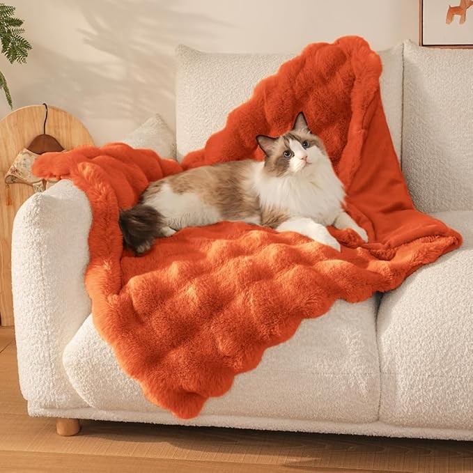 SOMAHE Self-Warming Cat Blanket for Indoor Cats & Small Dogs, Dual-Side Sherpa Plush Throw, Anti-Static Shared Couch Mat for Crate & Travel, Machine Washable No Shrink, 28x22 Inch Orange