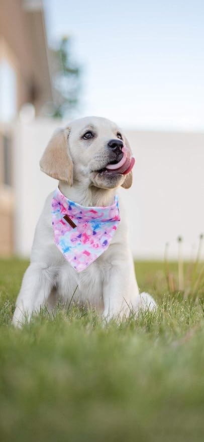 Elegant Little Tail Dog Bandanas - Comfortable Adjustable Square Kerchiefs for Boys & Girls, Small to Large Dogs