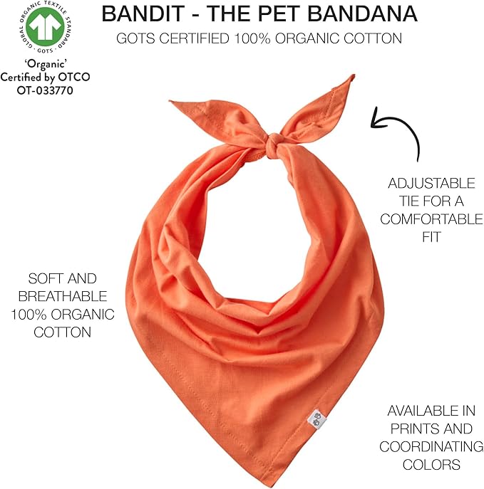 Pet Passion Bandit - The PET Bandana 100% Organic Cotton Pet Bandanas Clothes for Small, Medium, Large Dogs, 2-Pack Candy Corn, X-Small/Small