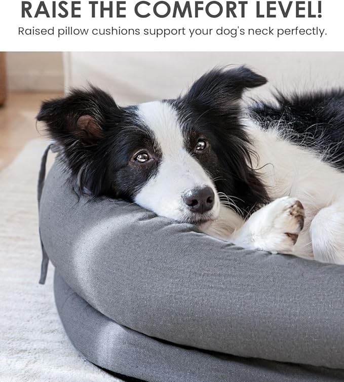 bilypaws Orthopedic Dog Bed for Large Dogs, Pet Sofa Bed with Egg Crate Foam, 4-Sided Bolster, Removable Washable Cover & Anti-Slip Bottom, XX-Large Dark Gray