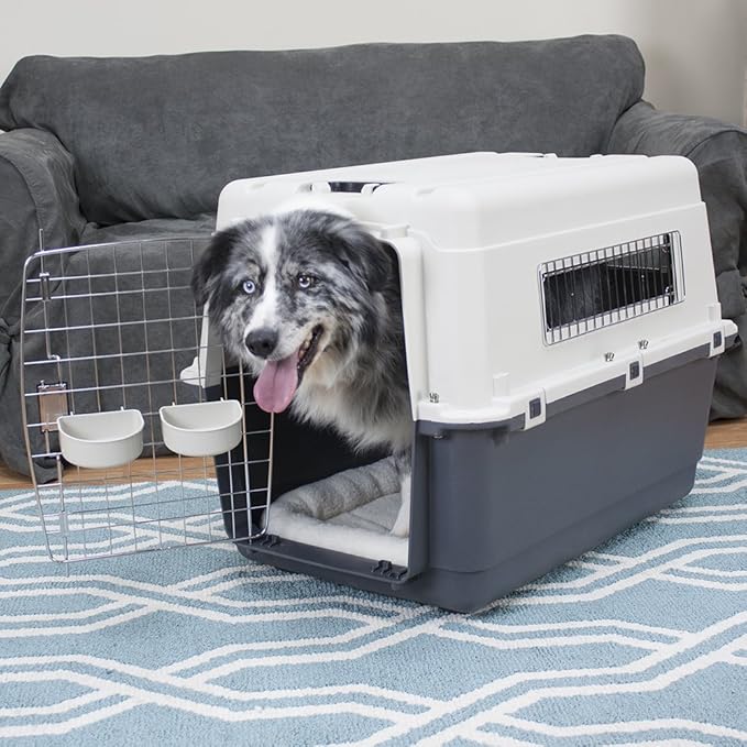 SportPet Designs Plastic Kennels Rolling Plastic Wire Door Travel Dog Crate- Large Kennel, Gray