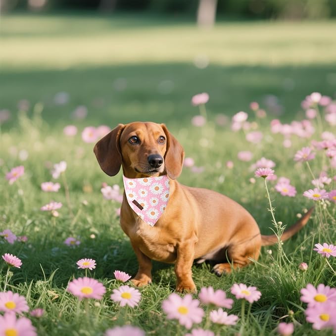 Lionet Paws Summer Floral 2pcs Dog Bandanas, Pink Daisy Dog Scarf Bib Premium Fabric, Blue Blossoms Bandanas for Small Medium Dogs Pets