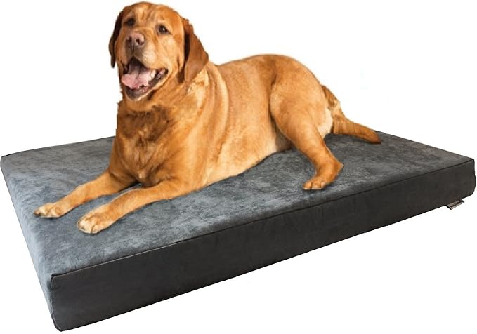 Dogbed4less Heavy Duty Orthopedic Memory Foam Pet Bed with Waterproof Internal Case + 2 Washable Microsuede External Cover for Large Dog