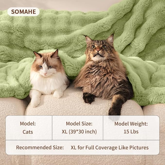 Cat Blanket for Indoor Cats Ultra Soft Plush Faux Fur Kitten Blankets Machine Washable Reversible Pet Throw Protector for Couch Furniture 21"X 18"Fruit Green