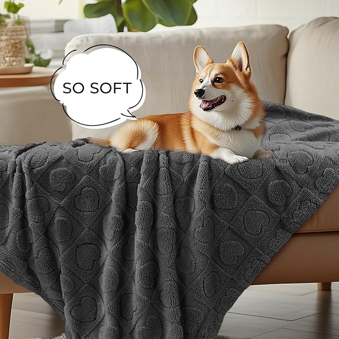 Luciphia Small Dog Blanket Washable Pet Bed Cover Soft Fluffy Puppy Blanket with Premium Fleece 300GSM Cozy Calming Cat Blankets for Indoor Cats Grey 30x20 inch