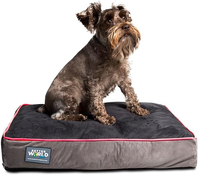 Better World Pets 5-inch Thick Orthopedic Dog Bed | Pure Premium Shredded Memory Foam Ideal for Aging Dogs | Waterproof Removable Washable Cover