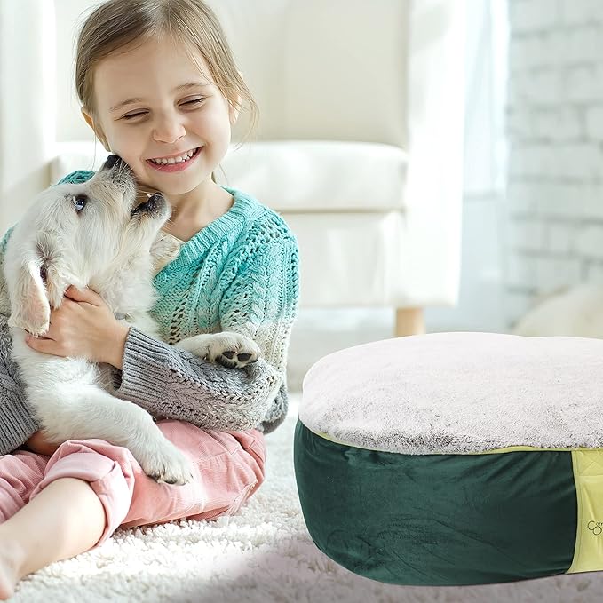 CozyOne Mia Collection Self-Warming Oval Dog Bed - Ultra-Soft Plush Dream Pet Bed with Removable Velvet Cover- Cozy Dog Beds for Small Dogs (27x24x8 Inch, Green) - Made in USA