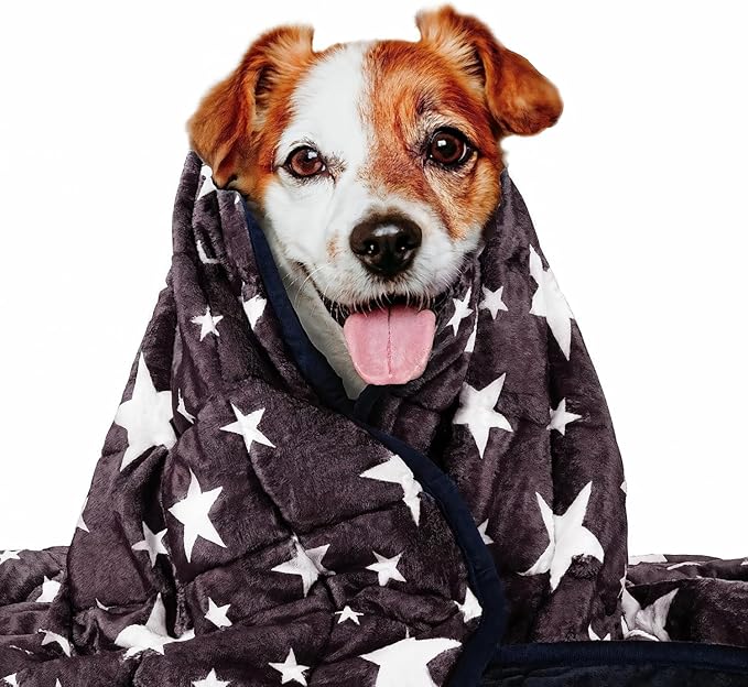 LaSyL Weighted Blanket for Pets | Thunder Blanket for Dogs Anxiety | Premium Soft Minky | Relaxation & Calming & Anti Anxiety | Blue Grey Star, Washable Medium 32" L x 40" W