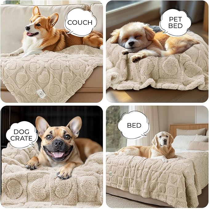 Luciphia 1 Pack 2 Small Dog Blanket Washable Pet Bed Cover Soft Fluffy Puppy Blanket with Premium Fleece 300GSM Cozy Calming Cat Blankets for Indoor Cats Beige 30x20 inch