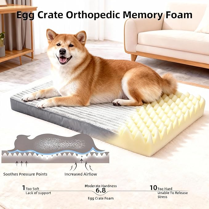 Dog Bed Large Sized Dogs, Orthopedic Flannel Pet Beds with Removable Washable Cover, Waterproof Indestructible Big Dog Bed with Anti-Slip Bottom, Egg Crate Memory Foam Pad, 35.0"x22.0"x3.0", Grey