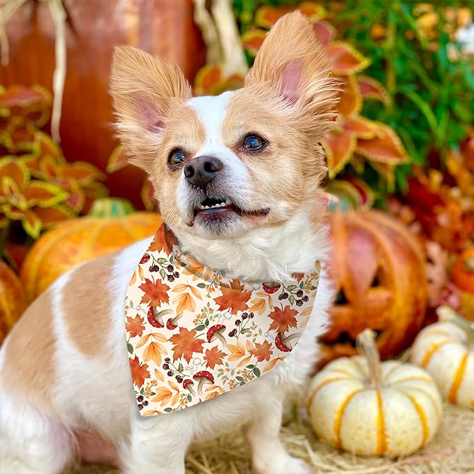 Fall Dog Bandana Reversible 2 Pack Small, Cute Autumn Pumpkin Leaves Fall Pet Bandanas Set Adjustable Triangle Holiday Scarves for Small Medium Boy Girl Dogs