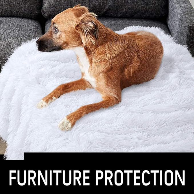 LOCHAS Luxury Fluffy Dog Blanket, Extra Soft and Warm Sherpa Fleece Pet Blankets for Dogs Cats, Plush Furry Faux Fur Puppy Throw Cover, 20''x30'' White