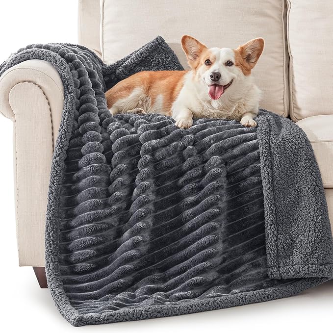 AIPERRO Waterproof Dog Blanket for Medium Dogs, Washable Soft Puppy Cat Blankets Flannel Cotton Velour for Sofa Couch Protector, Comfort & Security Reversible Bed Protection for Pet, 30"X40", Gray