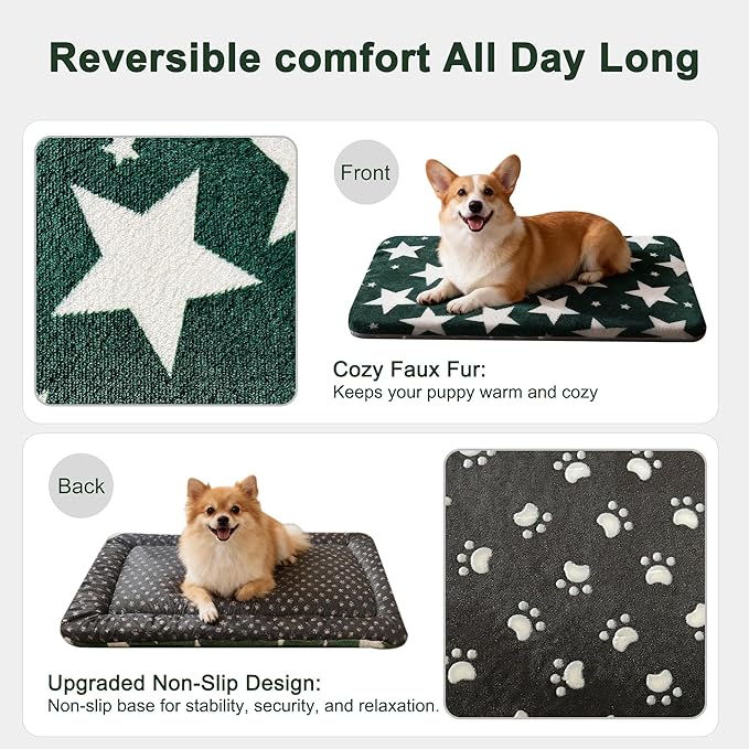 Wittop Washable Dog Bed Plush Orthopedic Outdoor Crate Mat with Non-Slip Bottom,Luxe Soft Kennel Pad for Pets, Cozy Cage Cushion & Pet Sleeping Mattress Large Sized,Medium,Small Dogs,24x18 inch,Green
