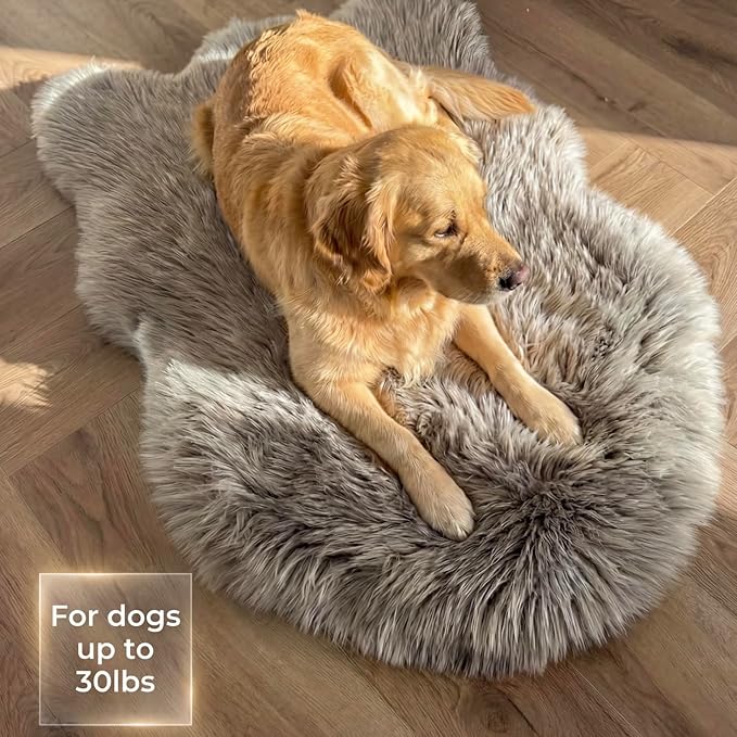 IHAPPYDOG Luxury Faux Fur Orthopedic Dog Bed, Memory Foam Dog Bed for Small, Medium, Large and XL Pets, Fluffy Pet Bed with Waterproof and Washable Cover (Grey, 40"x25")