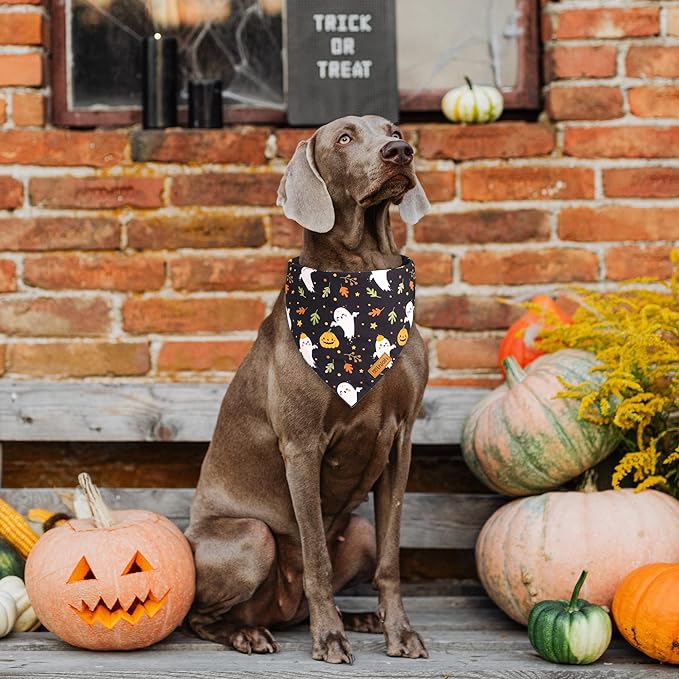 THLOH Halloween Dog Bandanas - 2 Pack Fall Dog Bibs | Reversible Pumpkin and Ghost Pet Scarf for Boys and Girls | Premium Durable Fabric | Boo Dog Bandana for Small and Medium Dogs (Small)