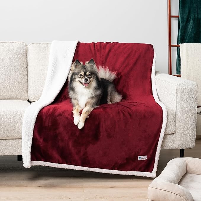 PetAmi Waterproof Dog Blanket for Medium Large Dog Puppy Cat Throw for Couch Cover Leakproof Protection, Sherpa Fleece, Reversible Soft Washable 60x40 Wine Red