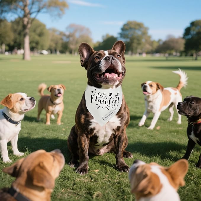Realeaf Lets Pawty Dog Bandana,Wedding Birthday Party Outfit for Boy and Girl, Premium Durable Fabric, Engagement Announcement for Large and XLarge Dogs (X-Large)